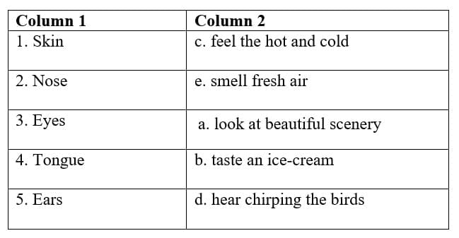 Sense Organs - 2 Class 1 Worksheet EVS