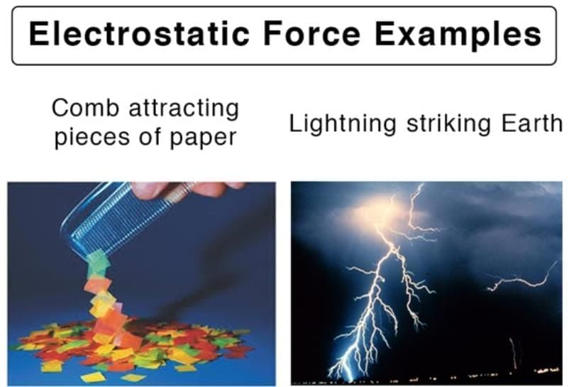 Exploring Forces Chapter Notes | Chapter Notes For Class 8