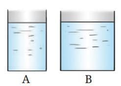 Pressure, Winds, Storms, and Cyclones NCERT Solutions | Science Curiosity Class 8 -  New NCERT