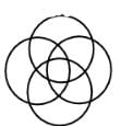 Venn Diagrams Questions for CAT with Answers PDF