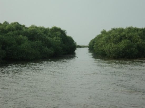 Coringa Wildlife Sanctuary