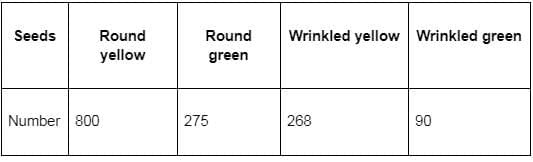 Previous Year Questions 2025