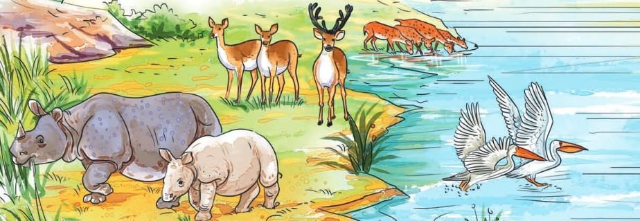 काजीरंगा राष्ट्रीय उद्यान की यात्रा Chapter Notes | Hindi Class 5 वीणा - New NCERT
