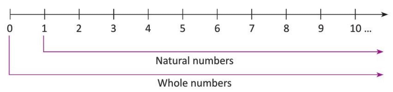 Introduction to Negative Numbers Chapter Notes | Mathematics Class 5 ICSE
