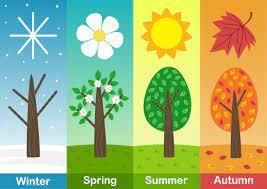 Learn English Online - Free Beginners Course - Unit 5 - Lesson 23 - The  Seasons