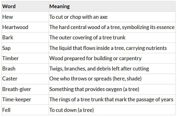 Summary: Heartwood | Gul Mohar Class 7