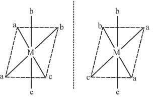 Stereo Isomerism