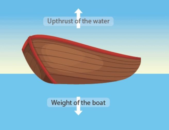 Force & Pressure Chapter Notes | Year 8 Physics (Cambridge) - Class 8