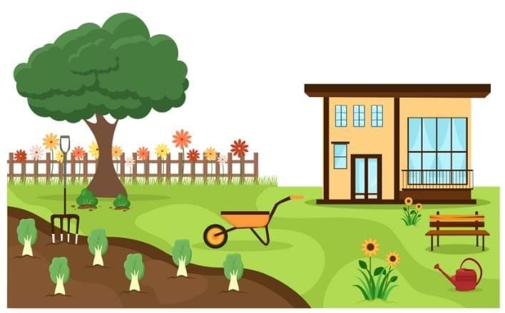 Solved Essay: A Tree in My Backyard | Essays for Class 2