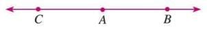 Fundamental Concepts of Geometry Chapter Notes | Mathematics Class 6 ICSE