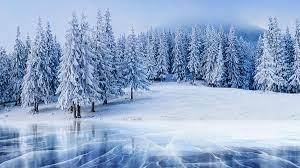 Seasons and their Characteristics | General Knowledge for Young Learners - Class 1