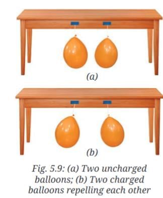 NCERT Based Activity: Exploring Forces | Science Class 8