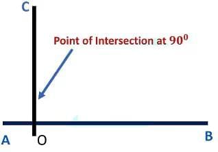 Basic Concepts in Geometry Chapter Notes | Mathematics Class 6 (SSC Board)