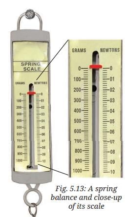 NCERT Based Activity: Exploring Forces | Science Class 8