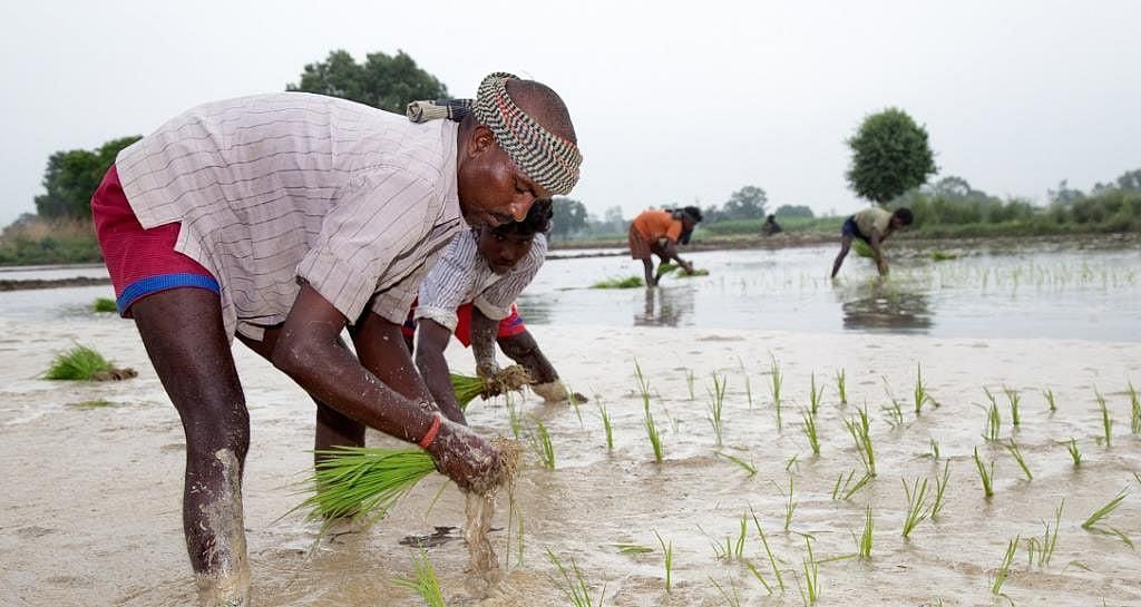 NCERT Solutions for Class 6 Civics - Rural Livelihoods