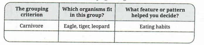 Activity 12.1: Let us compare and classify