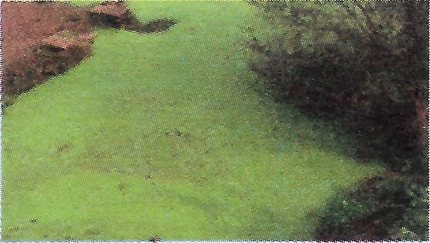 Veena Bhargava Textbook Solutions: Waste Management - Impact of Waste Accumulation