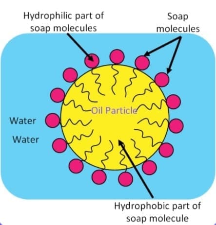 Structure of micelle