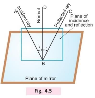 Light Energy Chapter Notes | Physics Class 7 ICSE