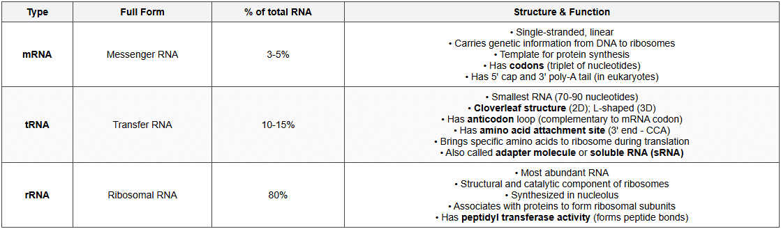 Nucleic Acids