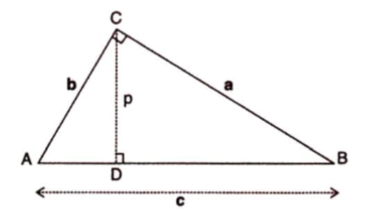 Pythagoras Theorem Chapter Notes | Mathematics Class 9 ICSE
