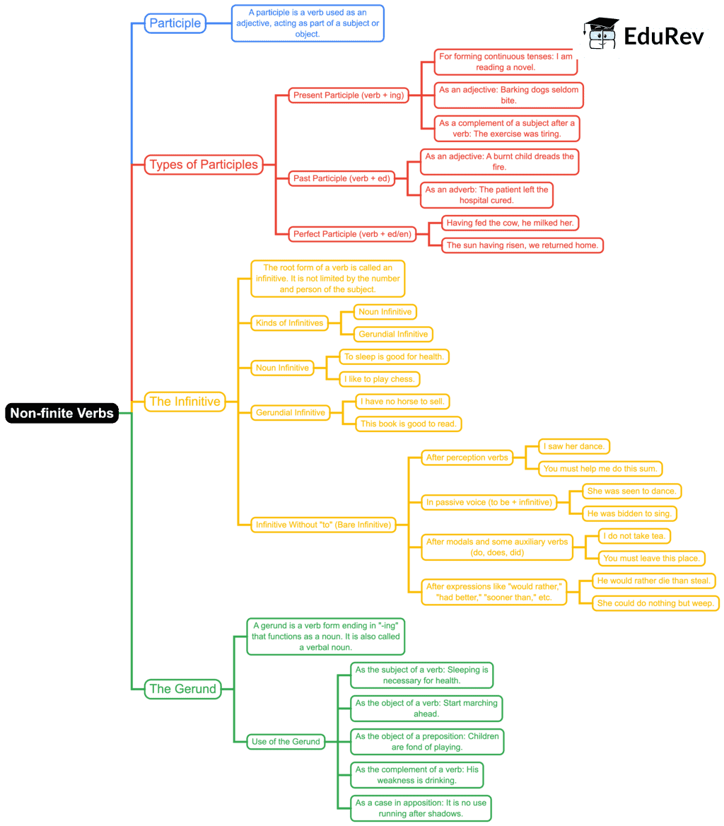 Mindmap: The Verb Non Finite Forms | English Grammar Class 7