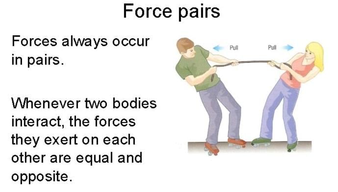 Exploring Forces Chapter Notes | Chapter Notes For Class 8
