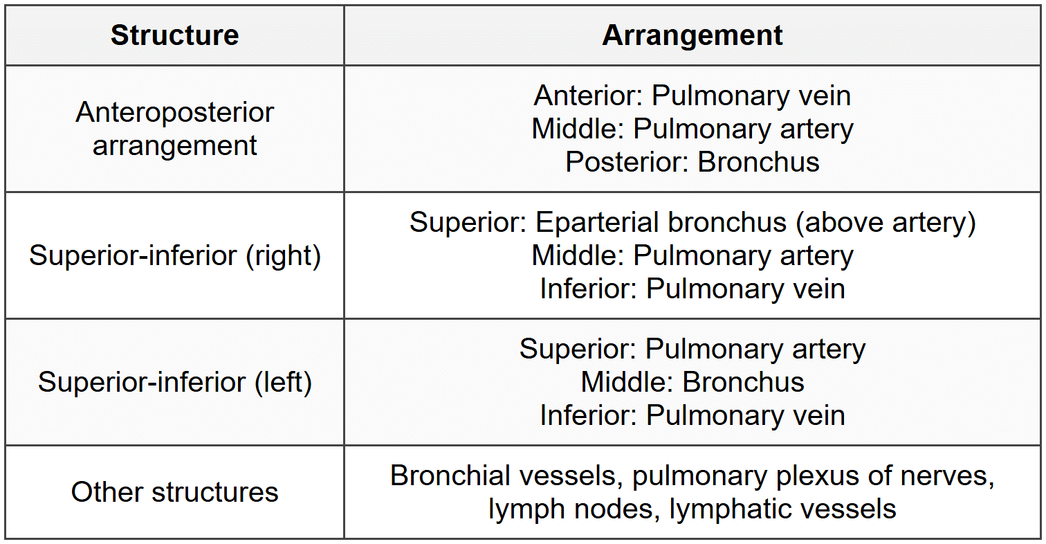 4.2.4 Lung Root and Hilum