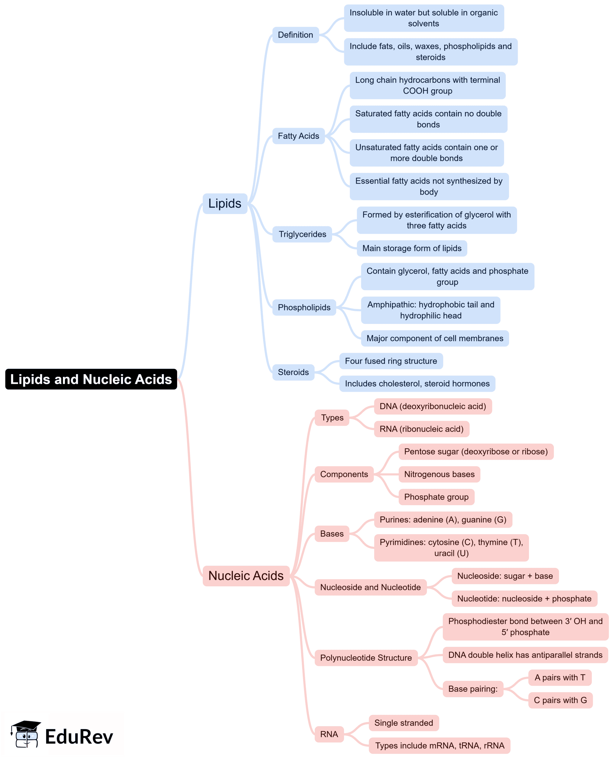 Mind Map: Biomolecules