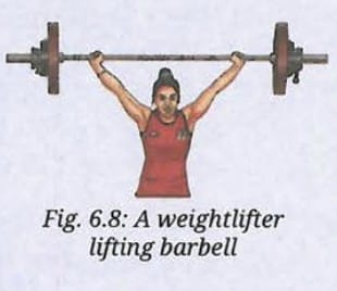 Pause and Ponder (Page 97)