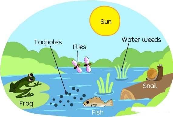 Unit Test: Natural Resources and Their Use | Social Science  Class 8 - New NCERT