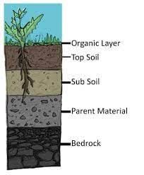 Q1: Fill in the Blanks.