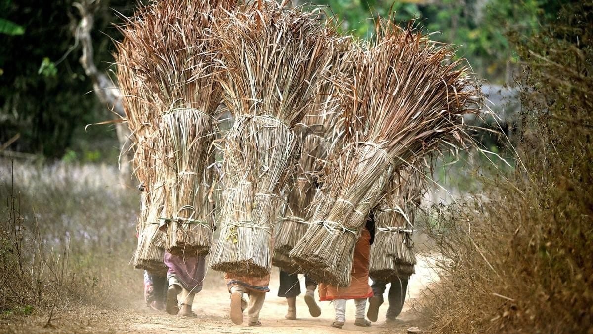 The Dismal State of India`s Environment