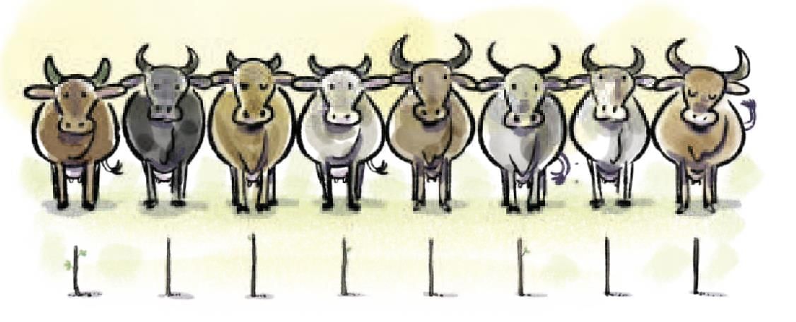 Short Notes: A Story of Numbers | Mathematics Class 8- New NCERT (Ganita Prakash)