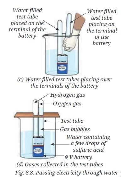NCERT Based Activity: Nature of Matter: Elements, Compounds, and Mixtures | Science Curiosity Class 8 -  New NCERT