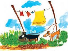 Q3: Answer the following Questions.