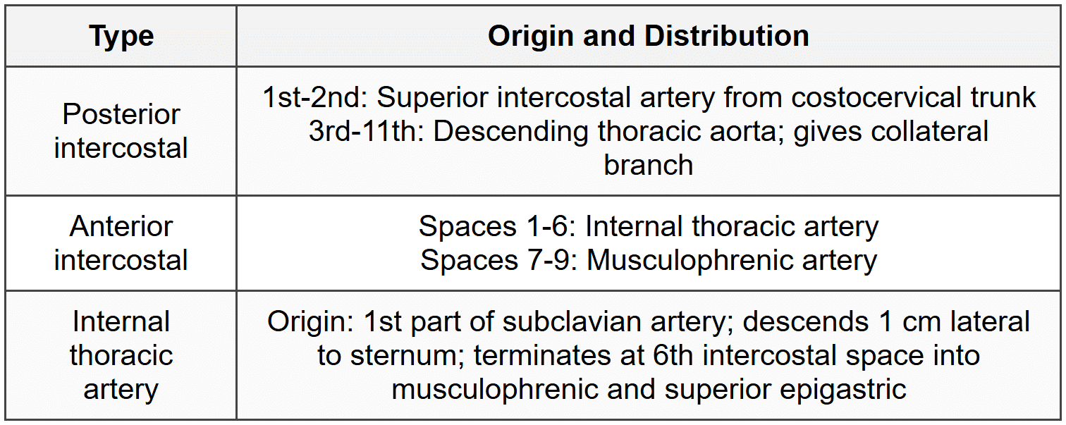 1.4.3 Intercostal Arteries