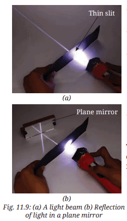 Activity Description