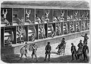 Crime And Punishment In Victorian Times Year 6 PDF Download Crime And Punishment In Victorian Times Year 6 PDF Download