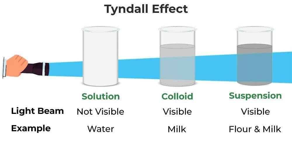 Lenses Chapter Notes | Physics for EmSAT Achieve