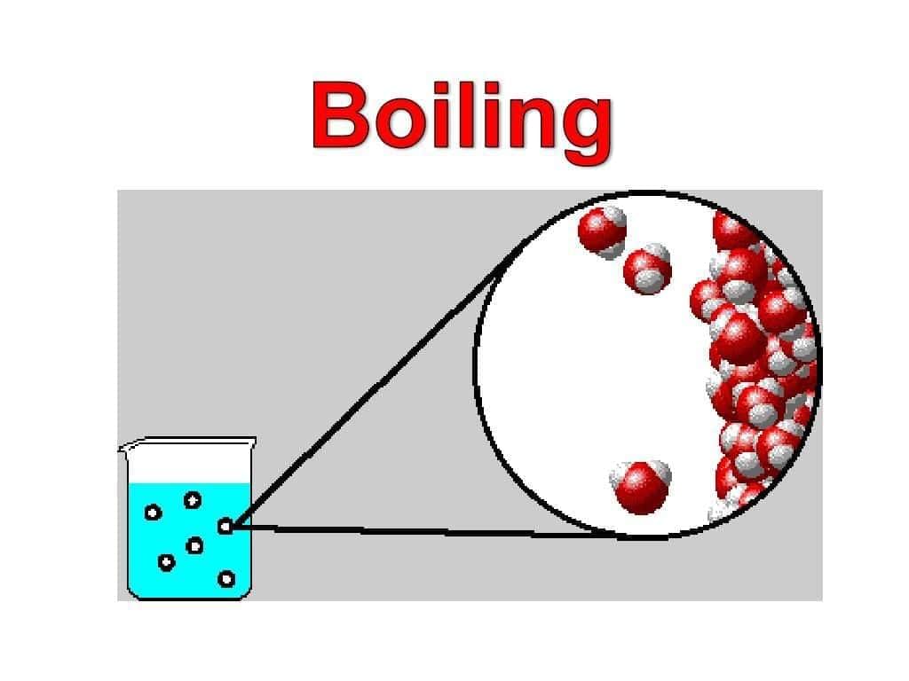 Matter in Our Surroundings Class 9 Worksheet Science Chapter 1