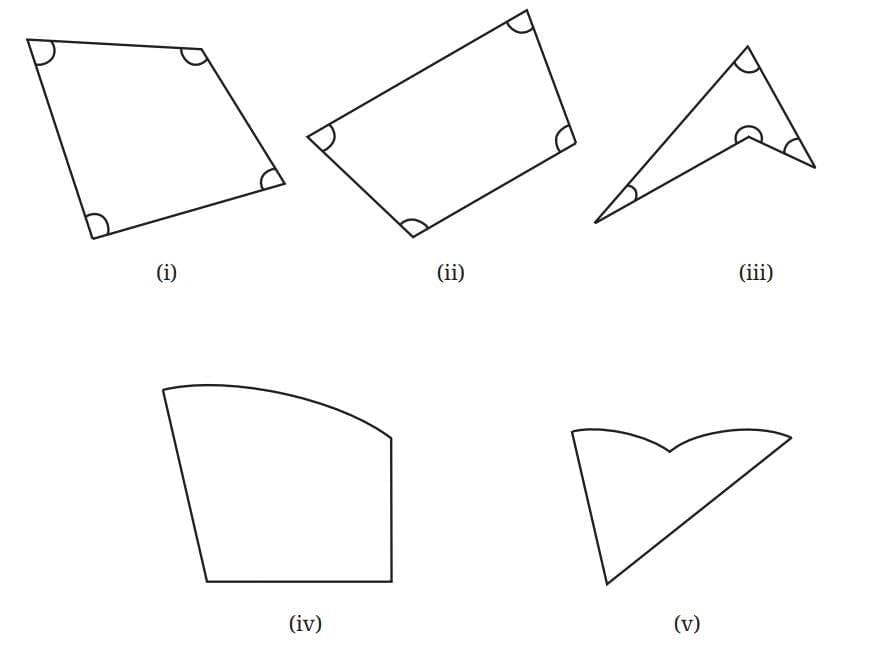 Quadrilaterals Chapter Notes | Mathematics Class 8- New NCERT (Ganita Prakash)