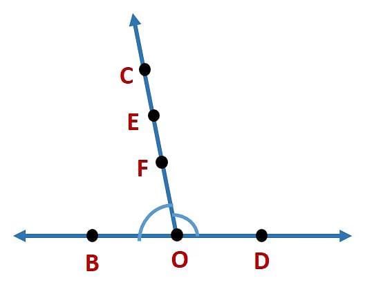 Basic Concepts in Geometry Chapter Notes | Mathematics Class 6 (SSC Board)