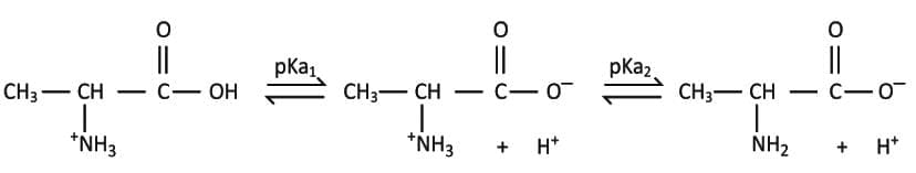 Titration Of Amino Acids