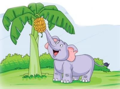 How the Elephant Got Its Trunk! Chapter Notes | English Class 2 ICSE