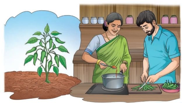 Earth — Our Shared Home Chapter Notes | Our Wondrous World Class 5 - New NCERT