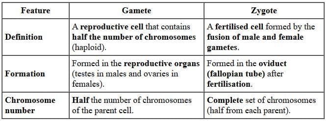 Class 10 Science Chapter 7 Previous Year Questions - How do Organisms Reproduce?