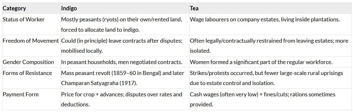 NCERT Solutions for Class 8 History Chapter 3 - Ruling the Countryside