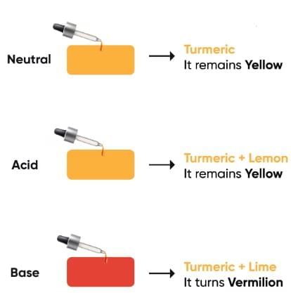 Introduction to Acid and Base Chapter Notes | Chemistry for SSS 2