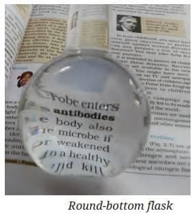 MCQ (Solution) - The Invisible Living World: Beyond Our Naked Eye | Science Curiosity Class 8 -  New NCERT